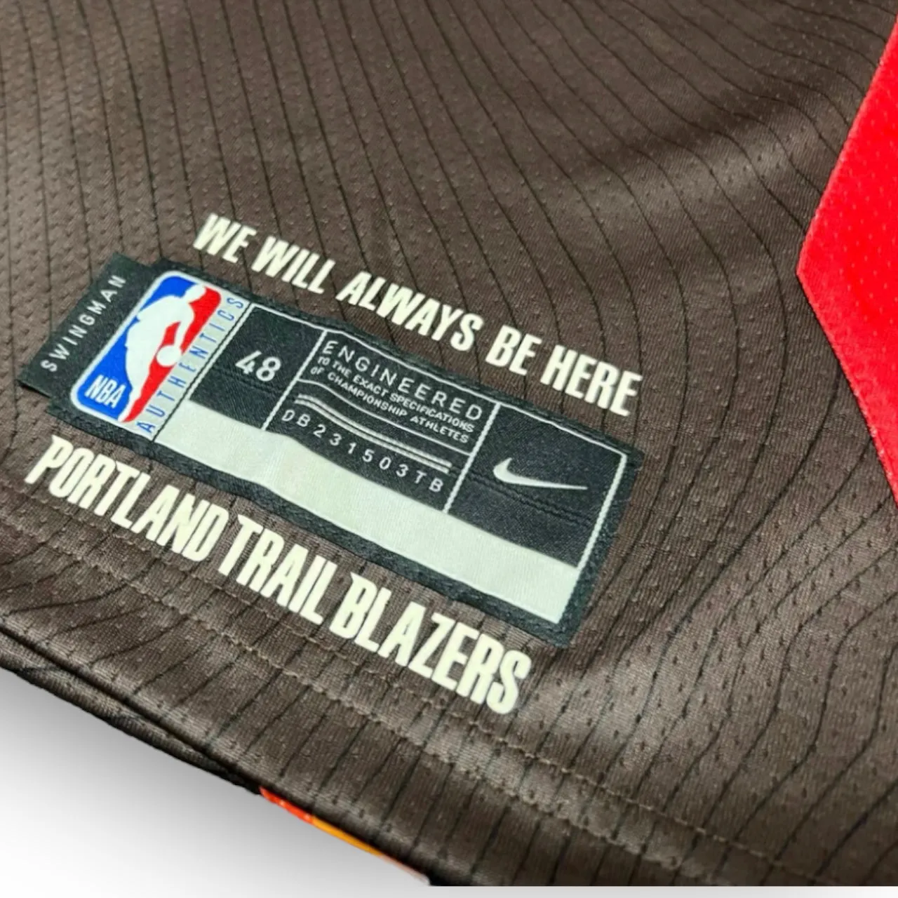Carmelo Anthony Portland Trail Blazers 2020-2021 City Edition Nike Swingman Jersey Brown Red
